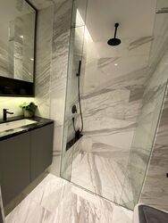 The Landmark (D3), Condominium #456494461